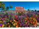 Outlet Shopping center sign with colorful flowers in the foreground, creating a vibrant and inviting atmosphere at 720 Reid Pl, Castle Rock, CO 80108