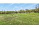 Expansive green backyard with view of water, trees and wildlife at 2557 S Dover St # 12, Lakewood, CO 80227