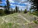 Lush backyard featuring mature trees and natural landscaping with mountain views at 393 Dixon Rd, Boulder, CO 80302
