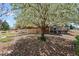 Backyard with a mature tree, a wood fence, a wood deck, and wood mulch at 13668 Plaster Cir, Broomfield, CO 80023