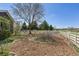 Landscaped backyard featuring a mature tree, wood mulch, and well-kept green surroundings at 13668 Plaster Cir, Broomfield, CO 80023