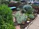Landscaped front yard with a variety of plants, stone pavers, and a cozy bench for enjoying the outdoor space at 34 W Maple Ave, Denver, CO 80223