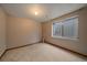 Unfinished basement featuring carpeted floor and a window at 13472 Monroe St, Thornton, CO 80241