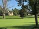 Expansive grassy field surrounded by mature trees, offering a peaceful setting at 13635 E Bates Ave # 406, Aurora, CO 80014