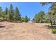 Expansive lot featuring mature trees in a serene, secluded setting at 8821 S Perry Park Rd, Larkspur, CO 80118