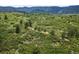 Lush green landscape with rolling hills and scattered trees, offering a peaceful and natural setting at 8821 S Perry Park Rd, Larkspur, CO 80118