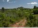 Picturesque land with rolling hills, natural greenery, and views of a distant peak, ready for exploration at 8821 S Perry Park Rd, Larkspur, CO 80118