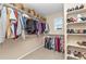 Walk-in closet with built in storage, shelving and seasonal clothing at 30 Stewart Way, Erie, CO 80516