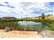 Serene community pond with lush landscaping and scenic views at 10443 Skyreach Way, Highlands Ranch, CO 80126