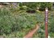 Scenic hiking trail surrounded by lush greenery and mountain views, providing a tranquil outdoor experience at 85 Revett Dr # 40, Breckenridge, CO 80424