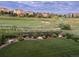 View of backyard, neighborhood and walking path at 11898 Discovery Cir, Parker, CO 80138