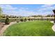 Spacious backyard features lush lawn, mature trees, and a wood fence with views of neighborhood homes at 11898 Discovery Cir, Parker, CO 80138