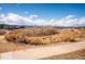 Neighborhood trail with mountain views and a scenic walking path at 9839 Foxhill Cir, Highlands Ranch, CO 80129