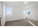 Bedroom featuring three windows offering views, neutral carpet and white trim at 5584 Moosehead Cir, Longmont, CO 80504