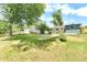 Spacious backyard featuring a lush lawn, storage shed, and mature trees providing ample shade at 6500 W 32Nd Ave, Wheat Ridge, CO 80033
