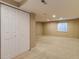Spacious basement area with beige carpet and a closet for extra storage at 9737 Canberra Ct, Highlands Ranch, CO 80130