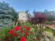 Stunning front yard featuring vibrant rose bushes and mature trees, enhancing the home's exterior at 6248 W 75Th, Arvada, CO 80003