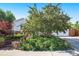 Landscaped front yard with mature tree, colorful flowers, brick accents, and driveway leading to a two-car garage at 6248 W 75Th, Arvada, CO 80003