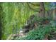 Detailed view of a serene backyard waterfall feature nestled among trees and foliage at 6248 W 75Th, Arvada, CO 80003