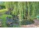 Backyard water feature with a small pond and cascading waterfall surrounded by lush greenery at 6248 W 75Th, Arvada, CO 80003