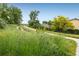 Walking trail through a vibrant green space near charming homes at 247 Regal St, Louisville, CO 80027