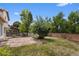 Landscaped backyard with stone patio, lush lawn, mature trees, and privacy fence at 8441 S Timberwood St, Highlands Ranch, CO 80126