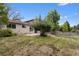 Well-maintained backyard with stone patio, green lawn, mature trees, and exterior view at 8441 S Timberwood St, Highlands Ranch, CO 80126