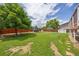 Lush backyard with a well-maintained lawn, wooden fence, and mature trees at 1245 Ceres Dr, Lafayette, CO 80026