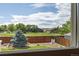 Window view of the fenced backyard offering a serene outdoor space with mature trees and a lawn at 1245 Ceres Dr, Lafayette, CO 80026
