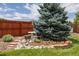 Landscaped backyard featuring a large tree, a bird bath, and decorative stone edging along a wooden fence at 1245 Ceres Dr, Lafayette, CO 80026