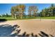 Sandy volleyball court with net and a covered gazebo at 10672 Wintersweet Pl, Parker, CO 80134