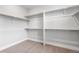 Spacious walk-in closet featuring shelving for optimal organization and neutral carpeting at 11261 Moonshimmer St, Littleton, CO 80125