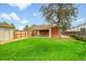 A lush green backyard features a covered patio and a wooden fence, creating a relaxing outdoor space at 641 E 104Th Pl, Northglenn, CO 80233