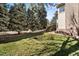 Green backyard featuring mature trees and a relaxing hammock for outdoor leisure at 7425 S Utica St, Littleton, CO 80128