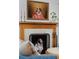 Elegant fireplace with an interesting portrait and decorative accents, creating a focal point for the living room at 747 N Downing St, Denver, CO 80218