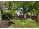 Lush backyard with mature trees, landscaping, and plenty of green space at 4567 Grove St, Denver, CO 80211