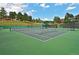 Well-maintained tennis court showcasing lush green surface with pristine nets and surrounding trees at 2398 Bitterroot Ln, Golden, CO 80401