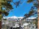 Picturesque mountain view, framed by lush trees and cozy homes, blends nature and neighborhood beauty at 102 S High St, Breckenridge, CO 80424