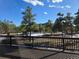Spacious deck with forest views surrounded by beautiful towering trees at 1298 Silverheels Dr, Larkspur, CO 80118