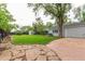 Backyard with mature trees, a large lawn, and a storage shed at 134 S 5Th Ave, Brighton, CO 80601