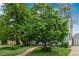Charming home featuring a lush front yard with a stone path leading to the entrance and mature trees for added shade at 134 S 5Th Ave, Brighton, CO 80601