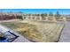 Large backyard with lush grass and a wooden fence at 1265 Black Haw St, Elizabeth, CO 80107