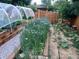 Established garden with rows of cornflower and other plants at 1695 S Beach Ct, Denver, CO 80219