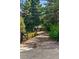 Long gravel driveway leading to a house, surrounded by mature trees at 182 Ridge Rd, Boulder, CO 80303