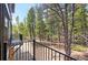 Balcony overlooking lush trees with black metal railing at 586 Alpine Way, Idaho Springs, CO 80452