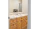 A well-lit bathroom with wooden cabinets, white countertop, and a large mirror at 155 S Poplar St, Denver, CO 80230