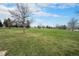 Expansive green field under a bright blue sky, perfect for recreation and outdoor activities, complemented by scattered trees at 10983 W Exposition Pl, Lakewood, CO 80226