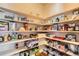 Well-organized pantry featuring ample shelving stocked with various food items and household supplies at 11602 Pine Canyon Dr, Parker, CO 80138