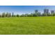 Expansive grassy park with trees and city buildings in the background at 1390 N Emerson St # 101, Denver, CO 80218