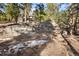 Idyllic property view with mature trees and large natural rock outcroppings at 30082 Troutdale Ridge Rd, Evergreen, CO 80439